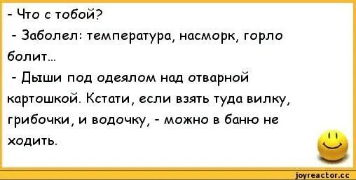 Husband dog wife. Закройте жену и собаку в багажнике. Анекдоты про ссоры. Анекдот про ссору с женой. Муж с женой ругаются анекдот.