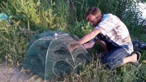 Лучшая приманка в раколовку