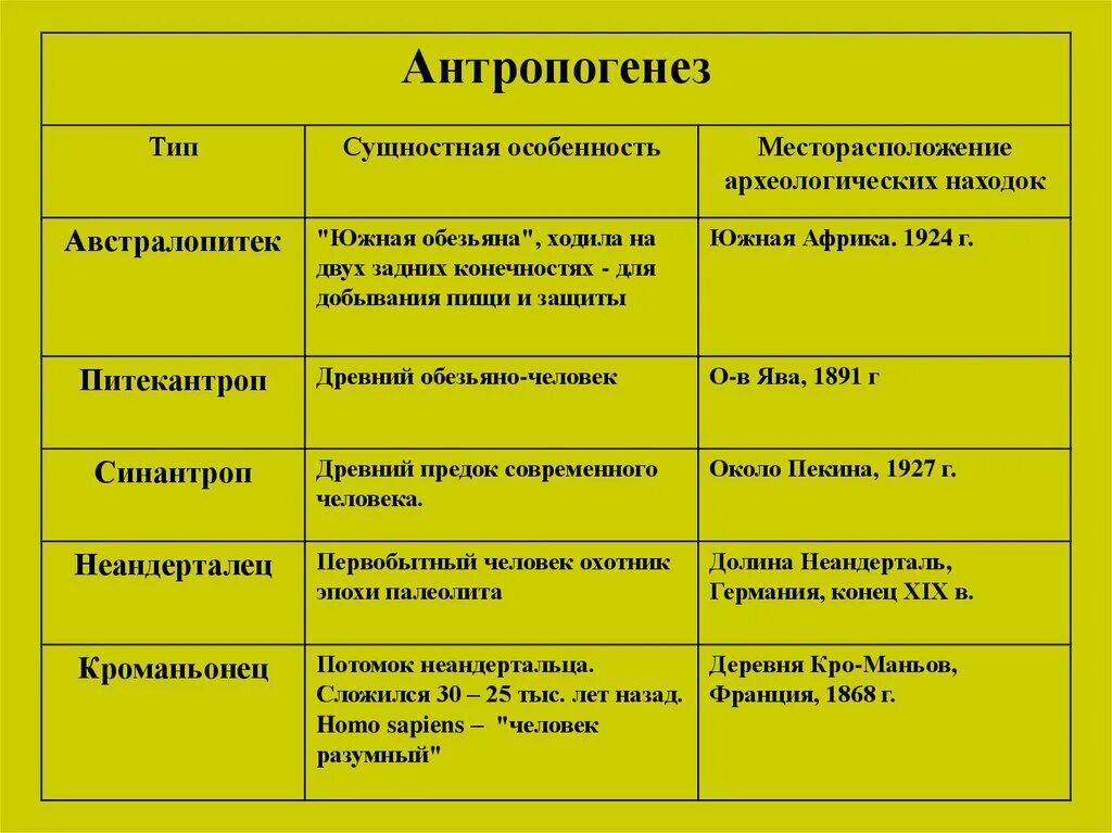 Таблица развитие человека 8 класс биология. Таблица основные этапы антропогенеза таблица. Антропогенез таблица по биологии 11 класс. Основные этапы этапы антропогенеза. Стадии развития антропогенеза таблица.