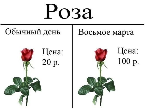 Обычная дата. Розы обычные с человеком. с 8 марта кличко мем. вы видели розы. обычная длина розы.