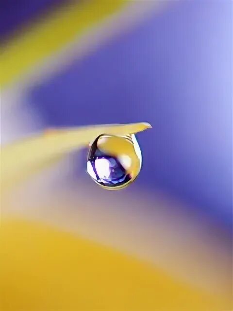 Drop view. Фон капли воды. Nzb. Неаполь заха хадид. Drop view.