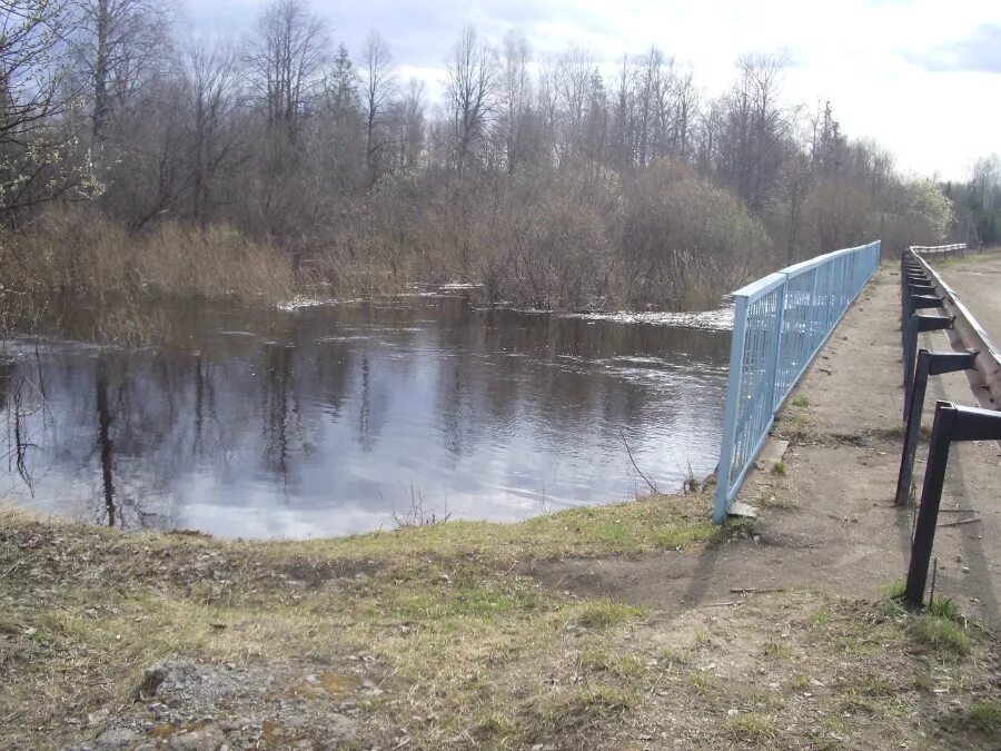 Погода вякшенер. Река Ошма Нижегородская область. Река Озерки. Вередеево. Озерки на речке жигалка,Тамбов,фото.