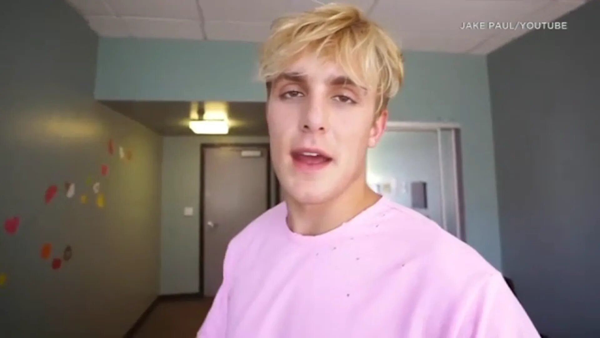 Logan Paul Lifestyle, Net Worth, Income, Salary, House, Cars, Favorites, Affairs