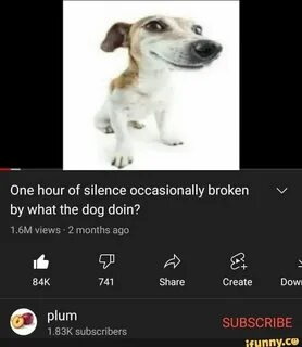 Dog lets go
