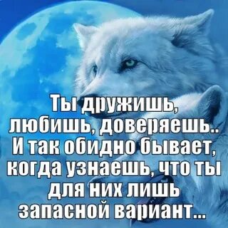 Потому что они волки