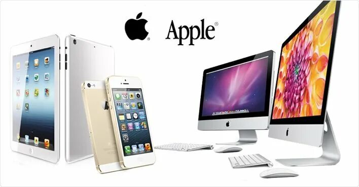 Swimming australian. Pm tech. Pm tech. Компания pmtech. Тестер beetech 20trms.