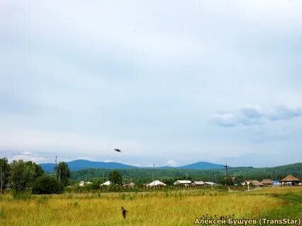 Погода нижние куряты каратузский