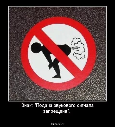 Включи трогали