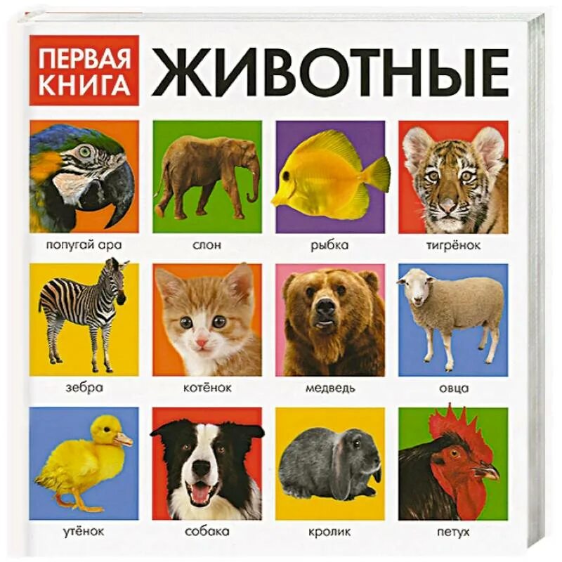 Животные 1 книжка