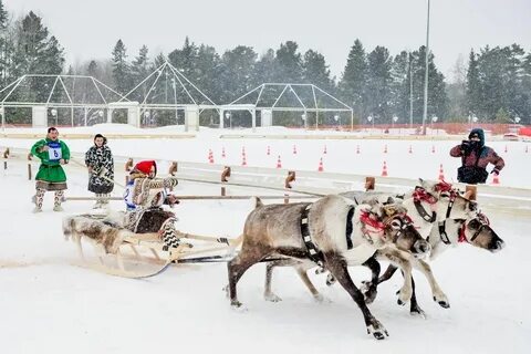 Хмао дне