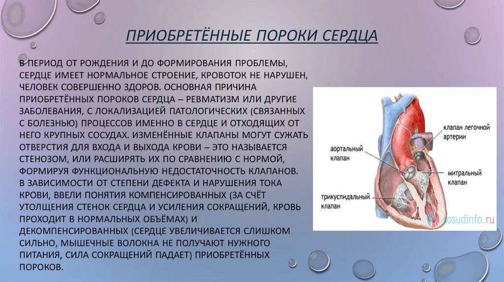 Причины развития у детей врожденного порока сердца. Причины развития приобретенных пороков сердца у детей. Приобретенные пороки сердца топографическая анатомия. Причины развития приобретенных пороков сердца.