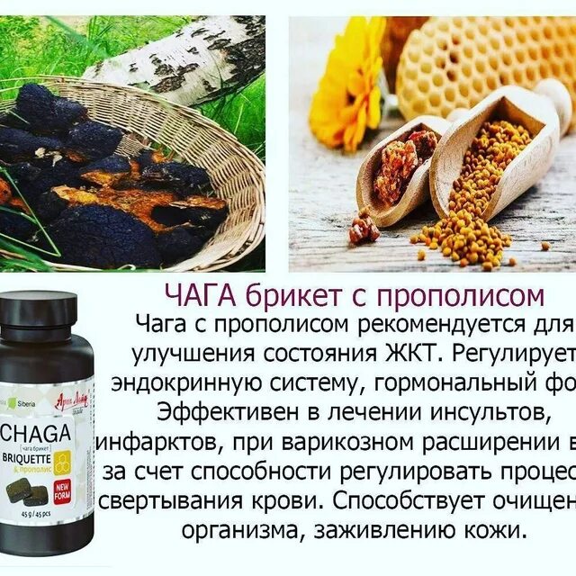 Чага с витамином с цинком и рутином. Чага. чага и прополис. гриб чага для иммунитета. прополис при заболевании жкт.