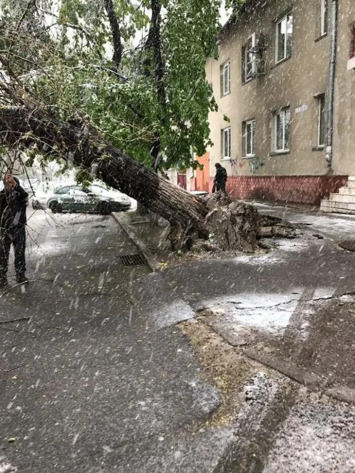 Снег в апреле в Кишинёве. Снег в апреле 2017 Кишинев. 20 Апреля погода. Погода в Кишиневе сегодня.