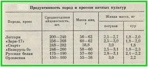 Самая продуктивная порода