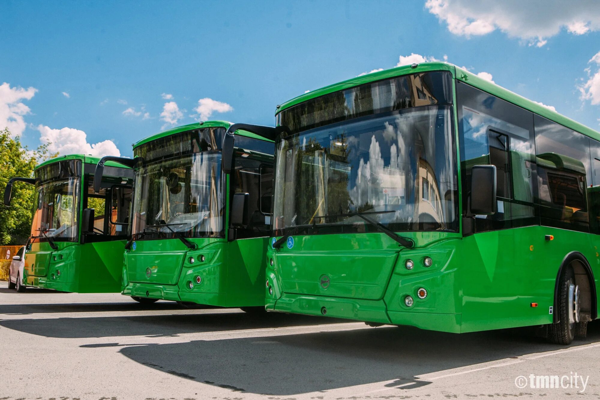 Автобус на улице. Автобусы Тюмень. Автобусы МАЗ Графика. Тюменский транспорт. 3 автобус тюмень