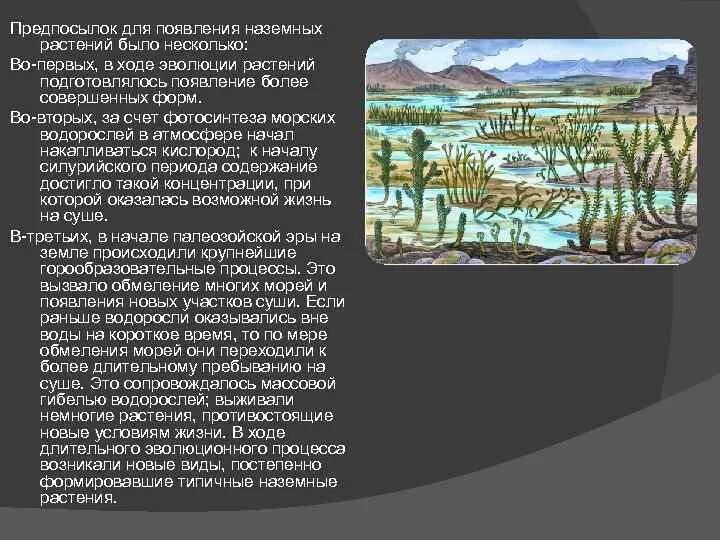 Когда появились растения. Рассказ жизнь 1 растений на суше. Первые растения на суше. Первые наземные растения. Первыми наземными растениями были.