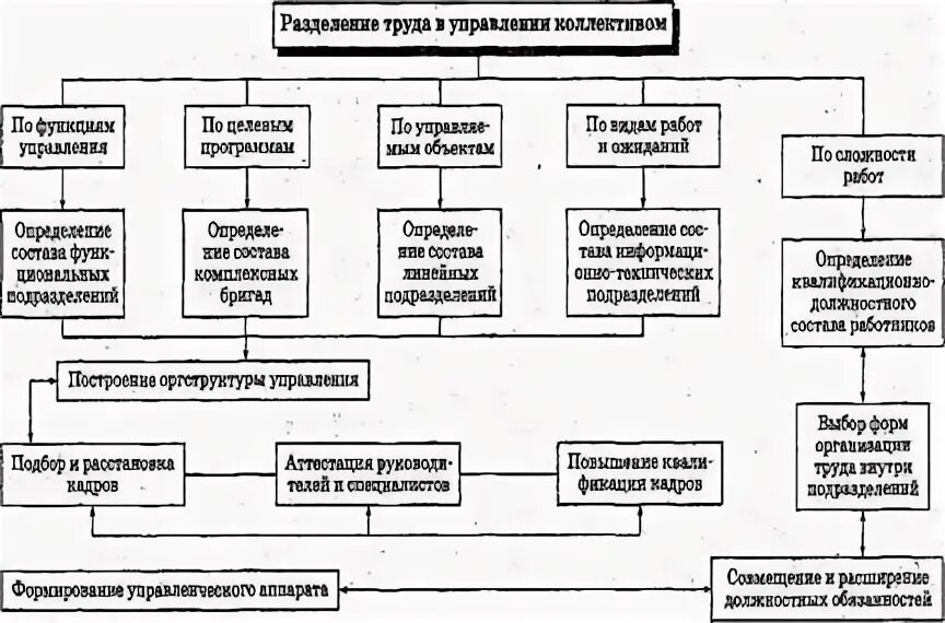 Рациональная организация участка