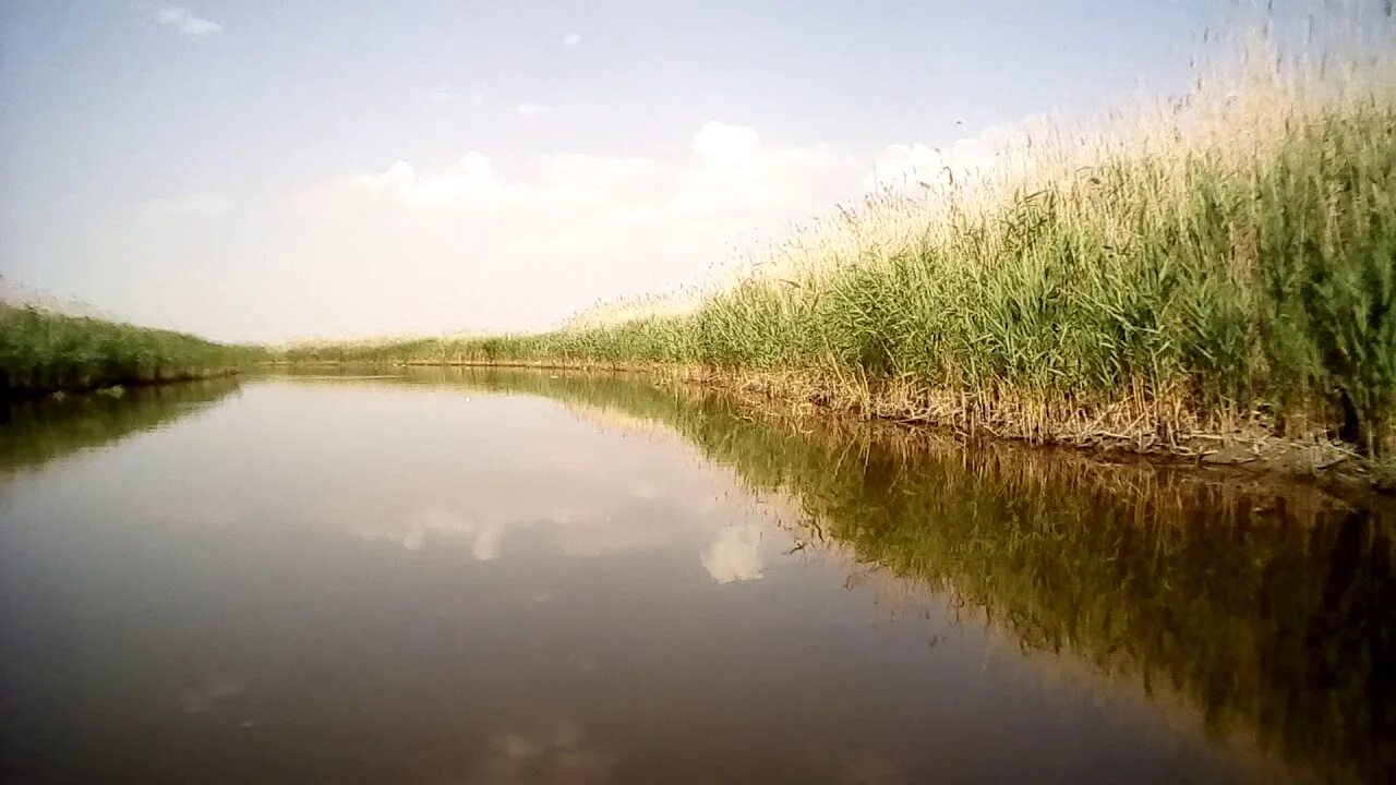 Старощербиновская речка. Станица Новопокровская река ея. Старощербиновская река. Исток реки ея Краснодарский край. Река ея рассказ