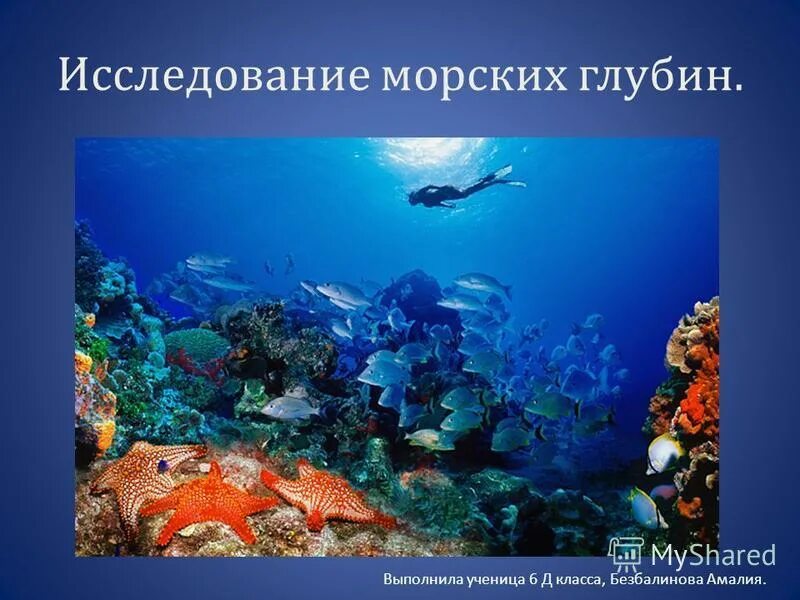6. 6. Глубина погружения с аквалангом. Известен случай когда собиратель губок опустился без дыхательного. Исследование морей и океанов.