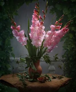 Красивые гладиолусы с днем рождения