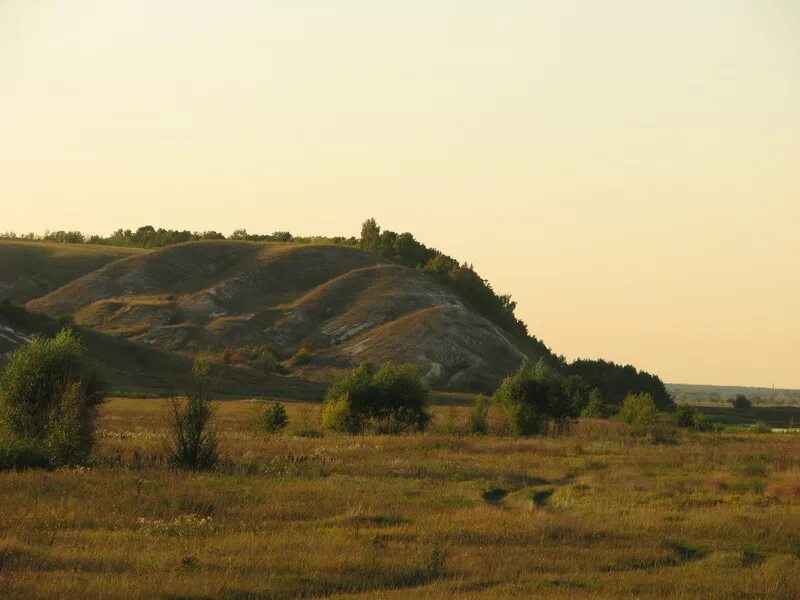 хутор верхние грачики каменского района ростовской области. верхние грачики (каменский район). верхние грачики 25 пос. глубокая. верхние грачики (каменский район).
