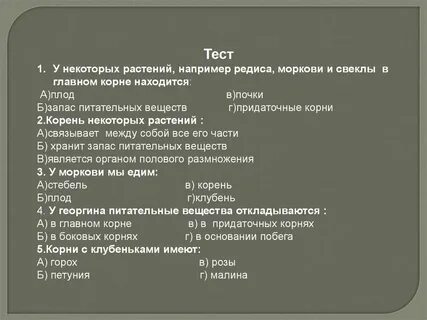 Тест растение цветка