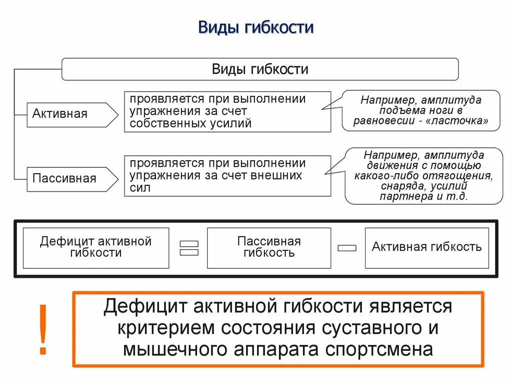 Виды гибкости