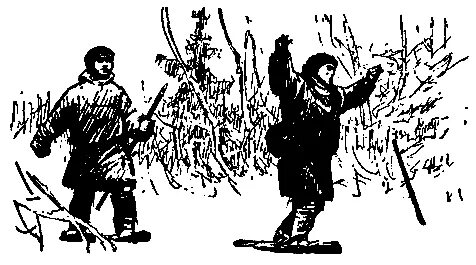 Листы каменной книги тест