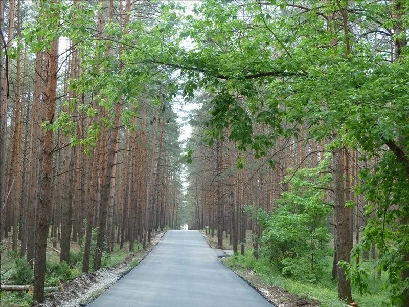 Солотча. ЖК Паустовский Солотча. ЖК Паустовский Солотча Рязань. Жилой комплекс в Бору Рязань Солотчи. Ул мещера