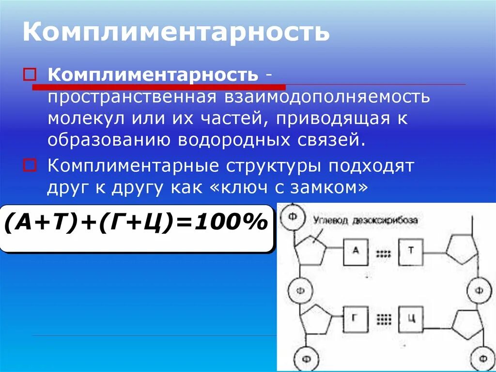 Комплиментарные днк. Комплиментарность или комплементарность. Комплиментарность молекул. Комплиментарное соединение это. Комплиментарность ДНК.