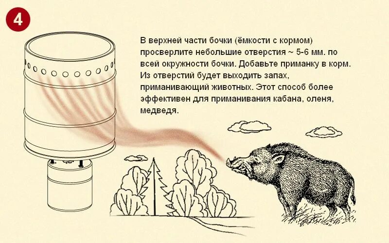 Приманка для кабана своими руками Прикормка для кабана 60 фото