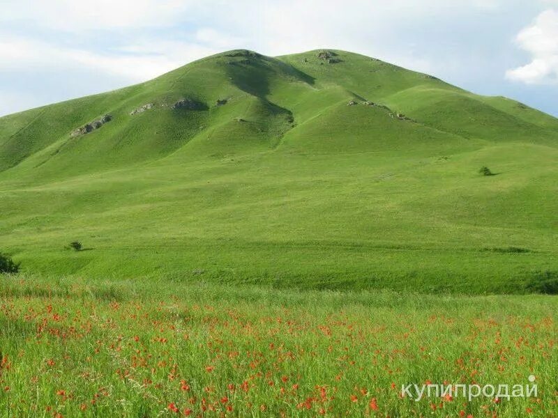 Гора золотой курган пятигорск. Река этока ставропольский край. Гора джуца 1-я. Этока карты. Гора кардон ставропольский край шишкино.