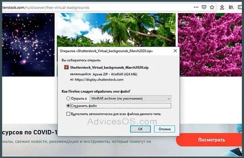 Шаттерсток контебьютеров