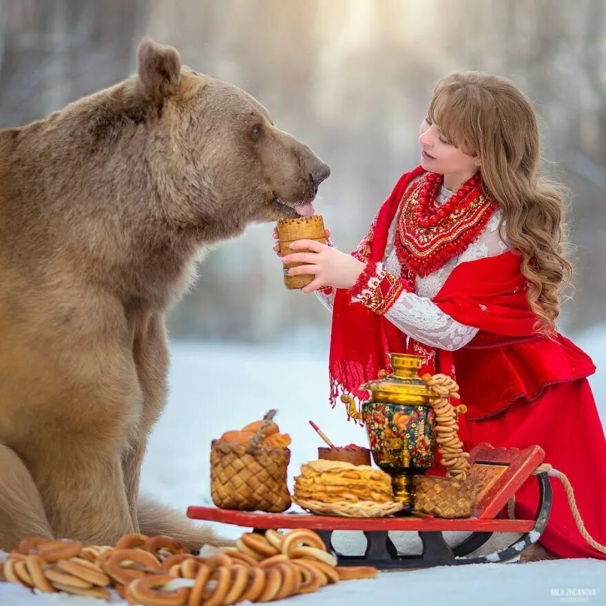 Маша и медведь масленица. Медведь Россия. Русский мишка.