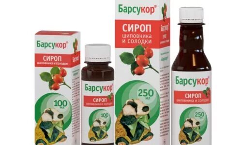 Можно ребенку давать шиповник