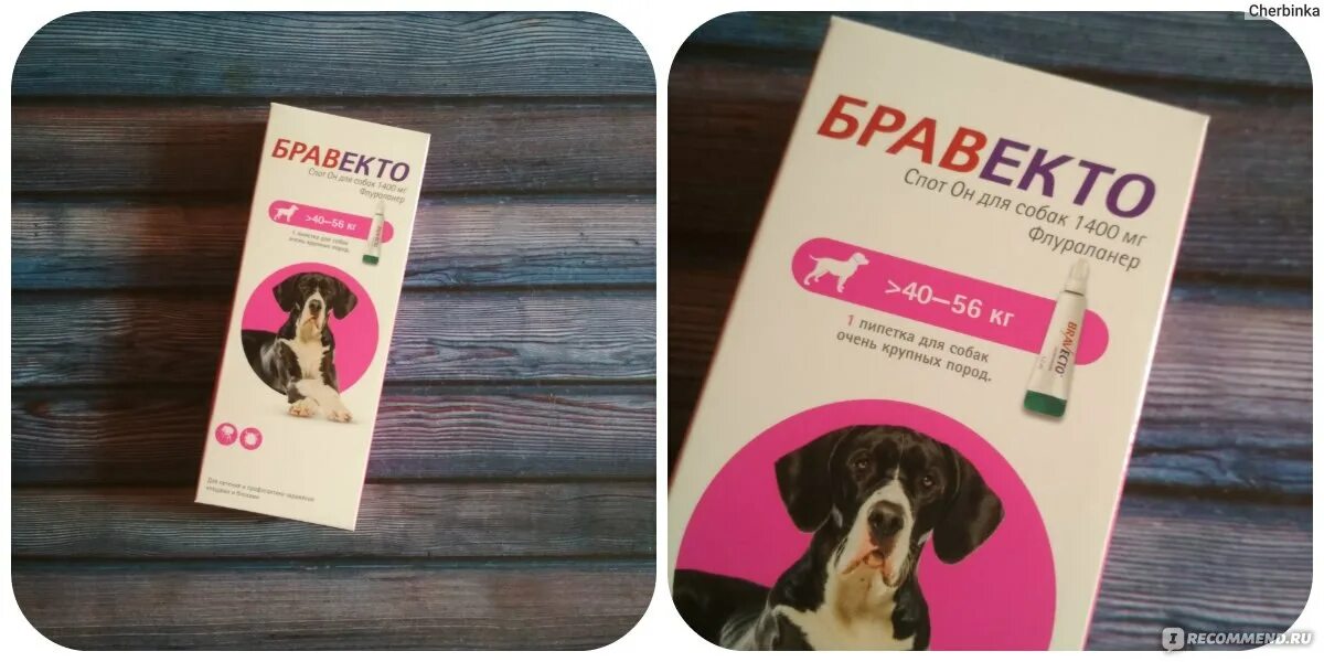 Как правильно давать бравекто собакам. Как правильно давать бравекто собакам