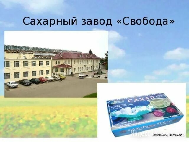 сахарный завод свобода усть-лабинск. сахарный завод усть-лабинск. зао сахарный завод свобода. сахарный завод свобода 2022. усть-лабинский сахарный завод.
