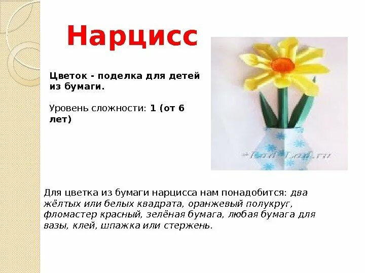 Нарцисс значение. Нарцисс символ китая. Нарцисс значение. Нарцисс значение цветка. Нарцисс значение.