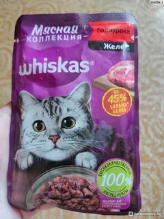 Корм для кошек желе