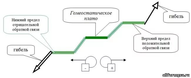 Пример положительной обратной связи в экологии. Прямые и обратные связи в экосистеме пример. Обратные связи в экосистемах. Положительная обратная связь гомеостаза. Обратная связь в природе.