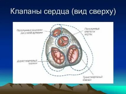 Функции клапанов