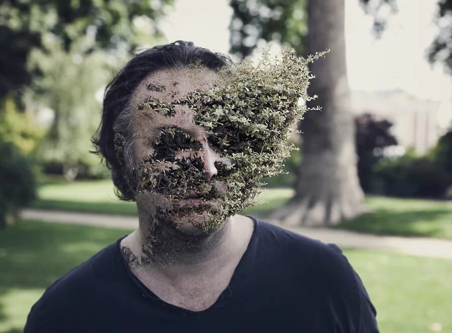 Человек превращается в растение. Дриада нимфа дерева. Превращение в растение. Monster girl encyclopedia дриада. Девушка превращается в растение.