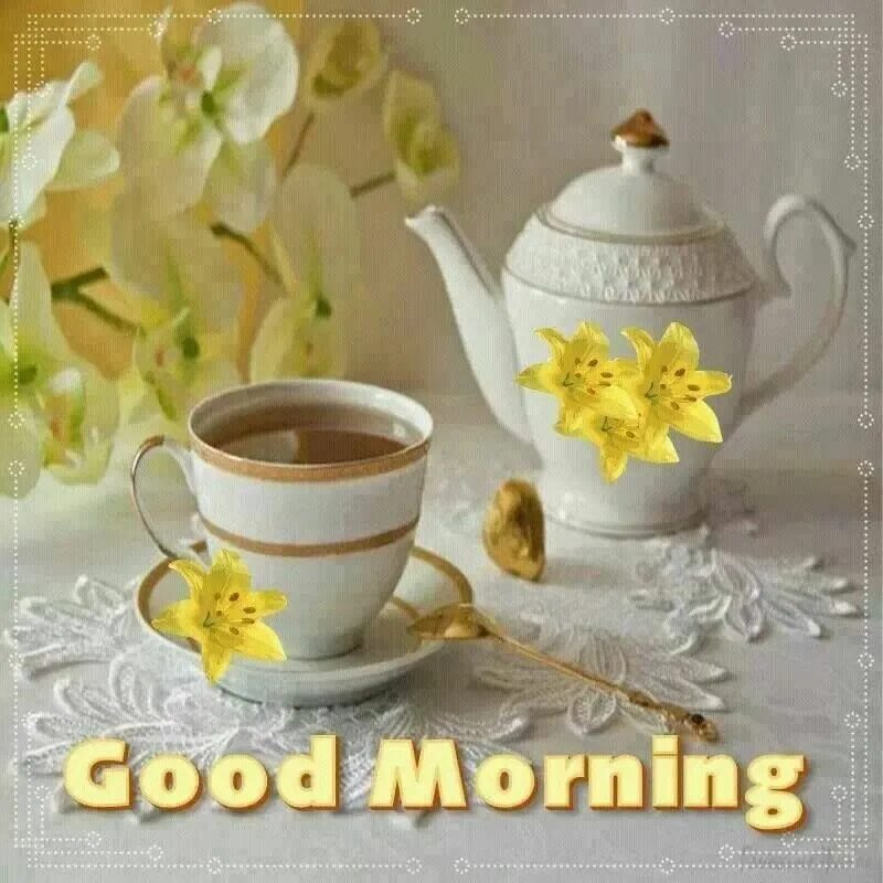 Box good morning. Good morning. good morning beautiful. beautiful good morning image. гуд монинг картинки.