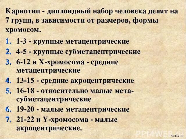 Характеристика кариотипа хромосомы. Кариотип кариотип характеристика. Характеристика кариотипа хромосомы. Группы хромосом в кариотипе человека. Денверская и парижская классификация хромосом человека.