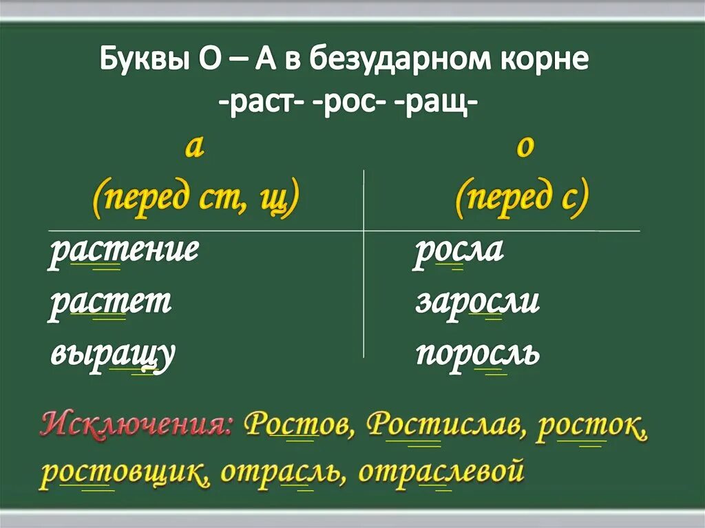 Чередование гласные в корне раст-ращ. Написание чередующихся гласных в корнях раст ращ рос. Правописание гласных в корнях раст ращ рос. Правила чередования гласных в корне раст ращ рос.