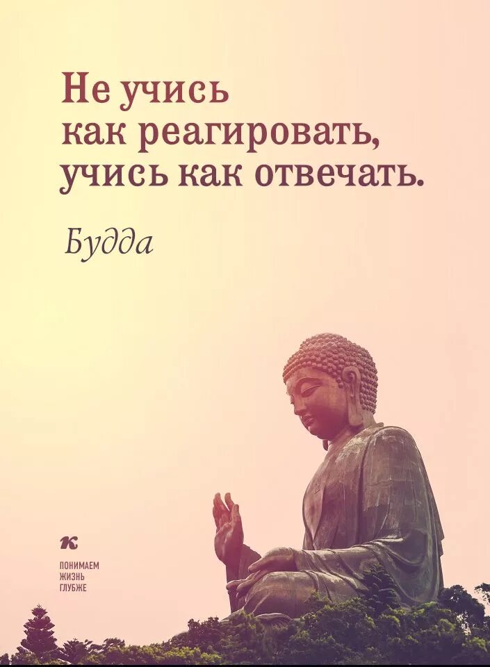 Мудрость жизни просто. Будда цитаты. Мудрые мысли Будды. Мудрые буддийские высказывания. Афоризмы Будды.