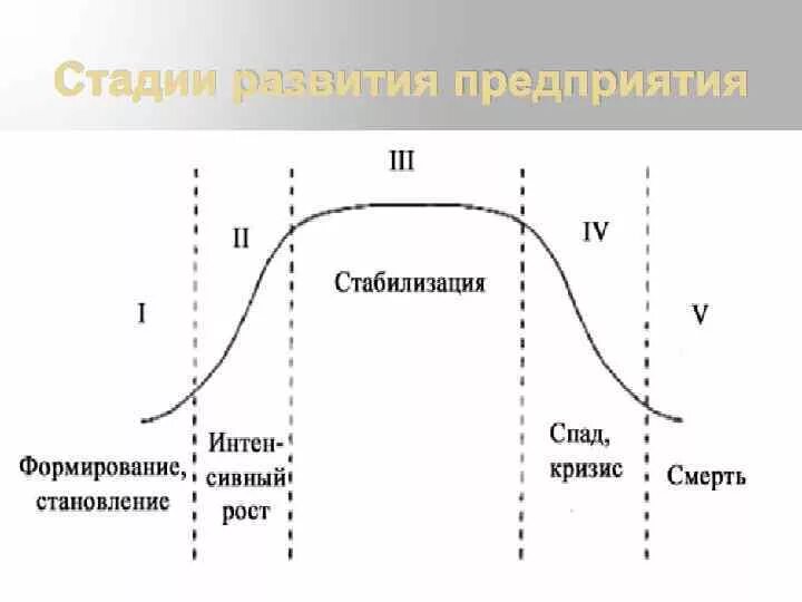 Стадии развития организации. Этапы развития предприятия. Фазы развития организации. Периоды развития организации.