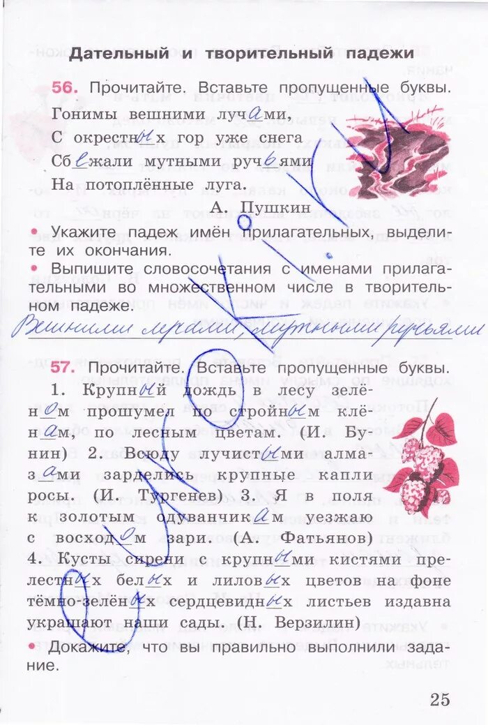 Канакина рабочая тетрадь четвертый класс русский язык. Рабочая тетрадь по русскому языку 4 класс Канакина 1 часть стр 25. Русский язык 4 класс 2 часть Канакина рабочая тетрадь стр 56. Рабочая тетрадь по русскому языку 4 класс 1 часть Канакина страница 25.