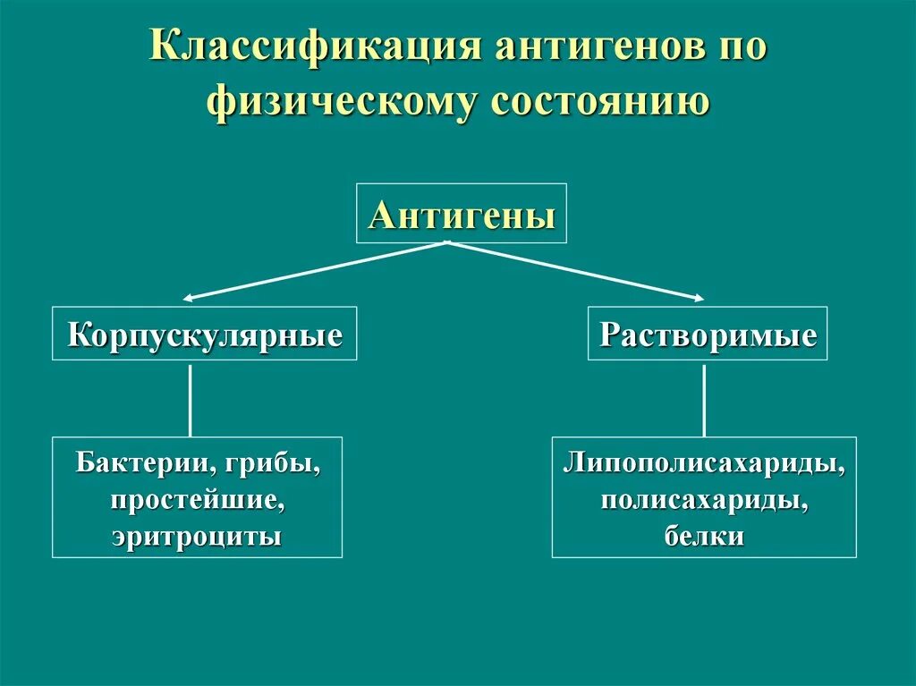 Экзогенные антигены. Классификация антигенов по физическому состоянию. Бактериальные антигены классификация. Классификация антигенов бактерий. Антигены. Свойства. Классификация антигенов..