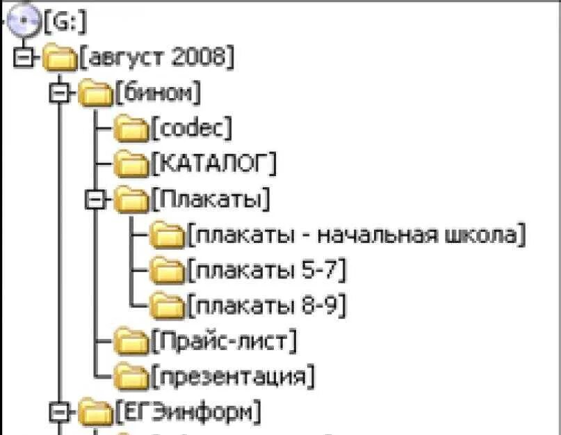 Папка каталоги дерево каталогов. Древовидная структура папок. Древовидная структура каталога. Дерево файловой структуры. Дерево папок.